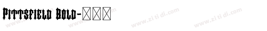 Pittsfield Bold字体转换 Pittsfield Bold字体转换